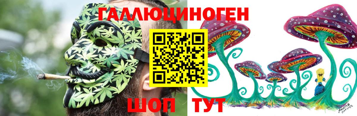 Галлюциногенные грибы MAGIC MUSHROOMS  Вход с VPN  Новоалтайск 
